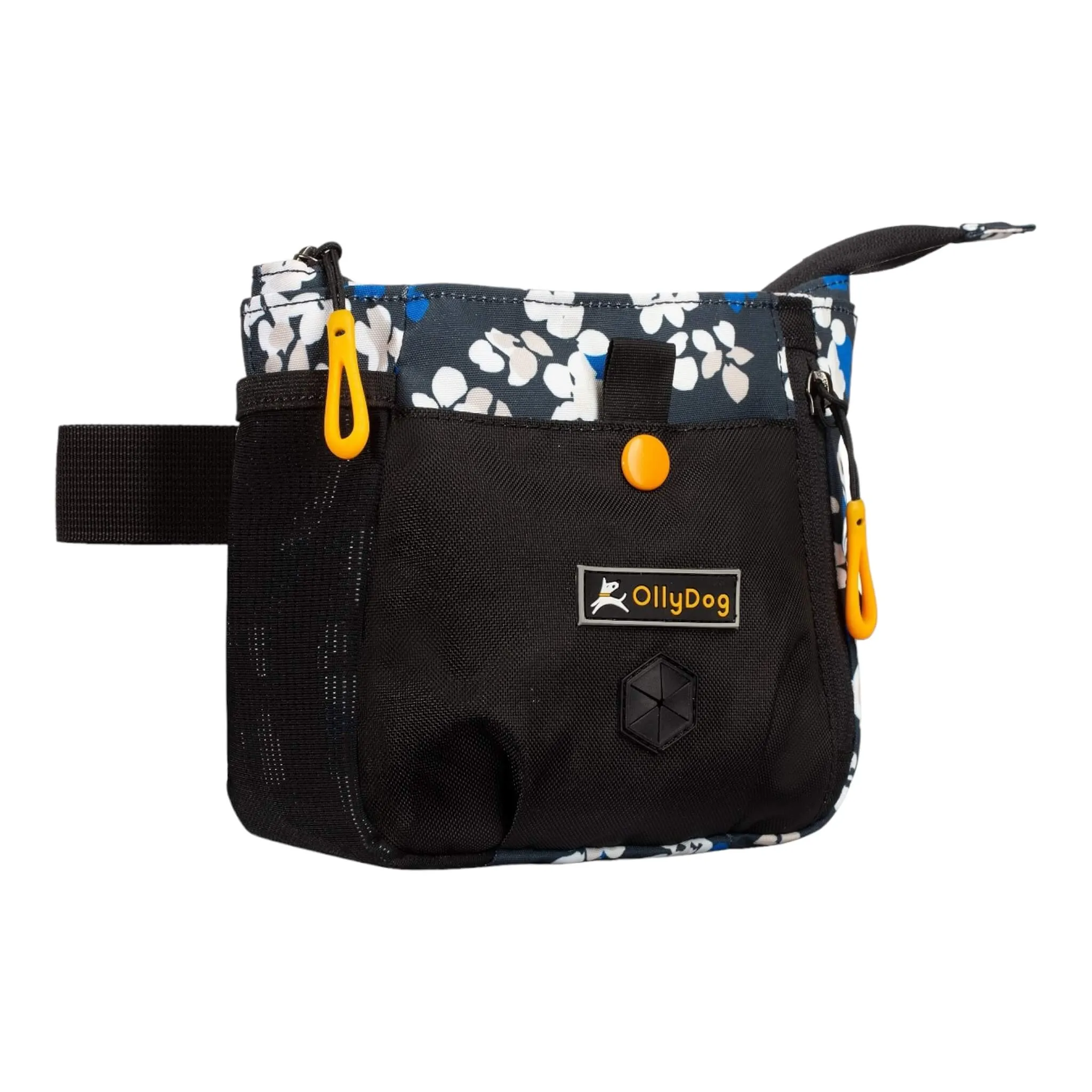 Backcountry Day Bag