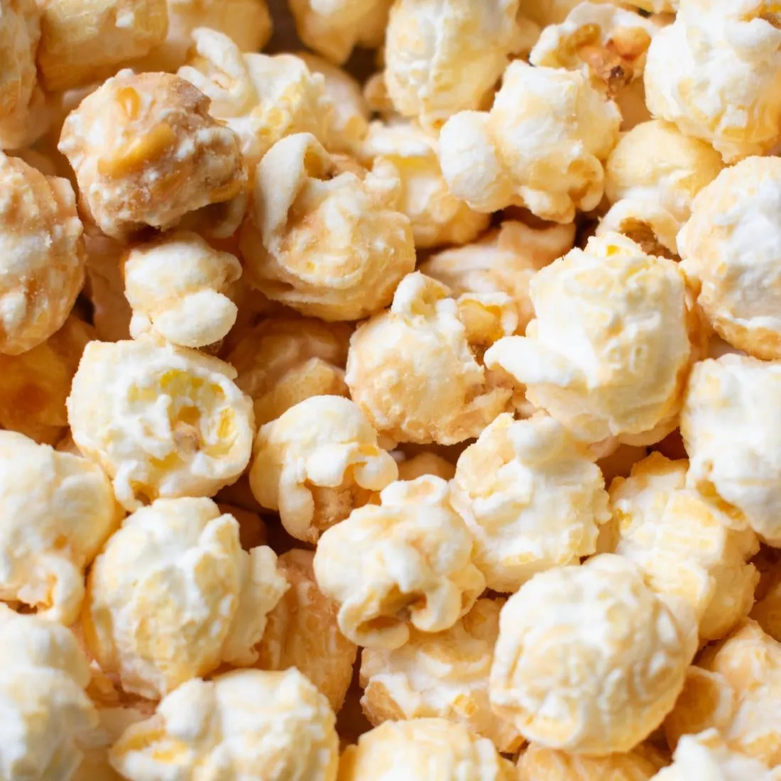 KA536 Popcorn Shed Say Cheese! Popcorn Snack Pack 16g (Pack of 16)