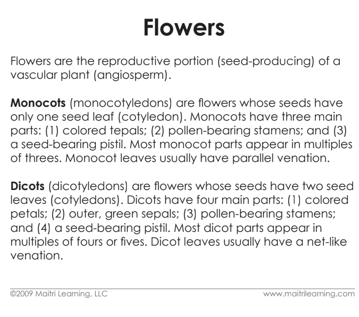 Parts of the Dicot Flower Vocabulary